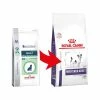 Royal Canin Neutered Small Dog Adult Pour Chien 3,5kg