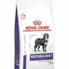Royal Canin Neutered Large Dog Adult Pour Chien 12kg