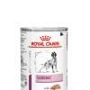 Royal Canin Cardiac Pour Chien 12x410g