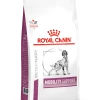 Royal Canin Mobility Support Pour Chien 12kg